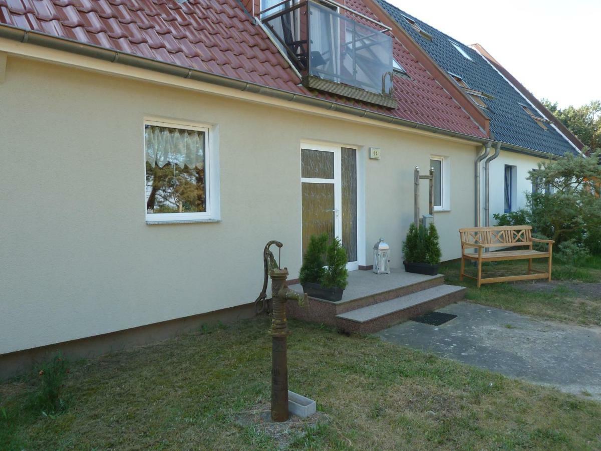 Romantisches Ferienhaus Boddenblick Mit Sauna Pruchten Zewnętrze zdjęcie